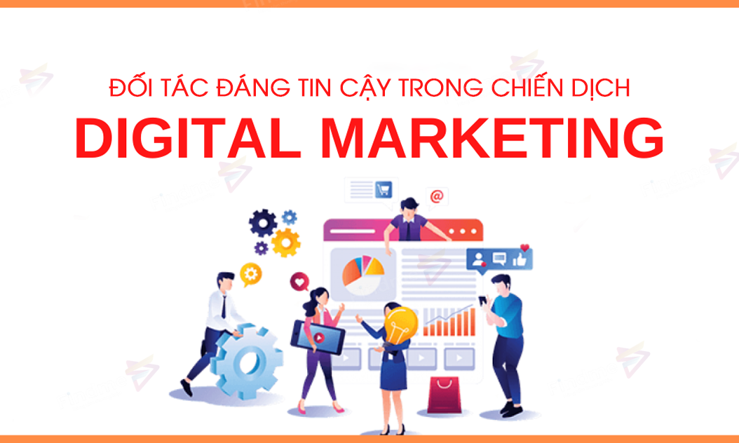 Thiết Kế Web Findme - Đối Tác Đáng Tin Cậy Trong Mọi Chiến Dịch Digital Marketing