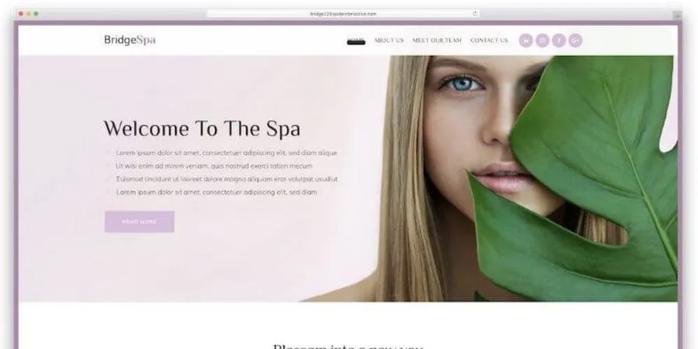 Mẫu thiết kế website cho Spa - Bridge, mẫu thiết kế đơn giản nhưng thân thiện với người dùng