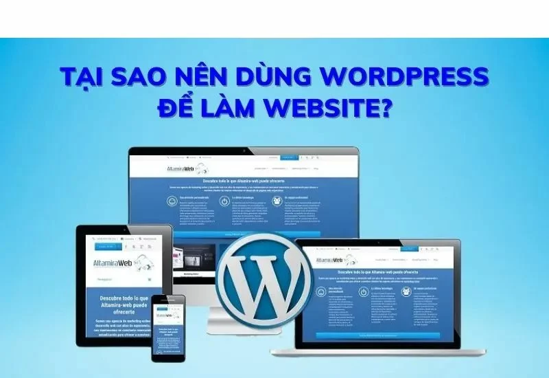 Tại Sao Nên Chọn Thiết Kế Web Wo