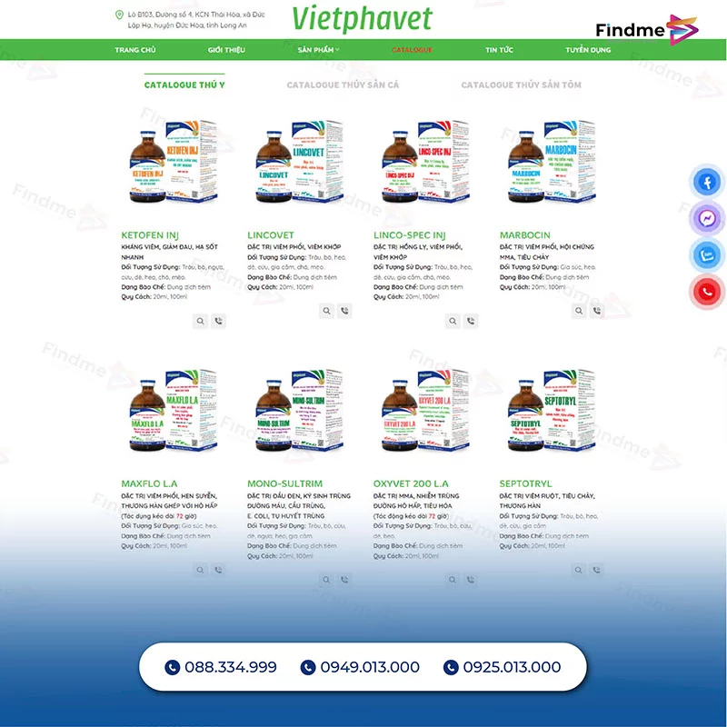 Website Viet Phavet